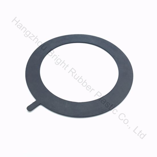 FDA Rubber Pump Flange Gasket