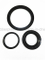 Double Lip Viton Rubber Metric Shaft Oil Seal with Spring