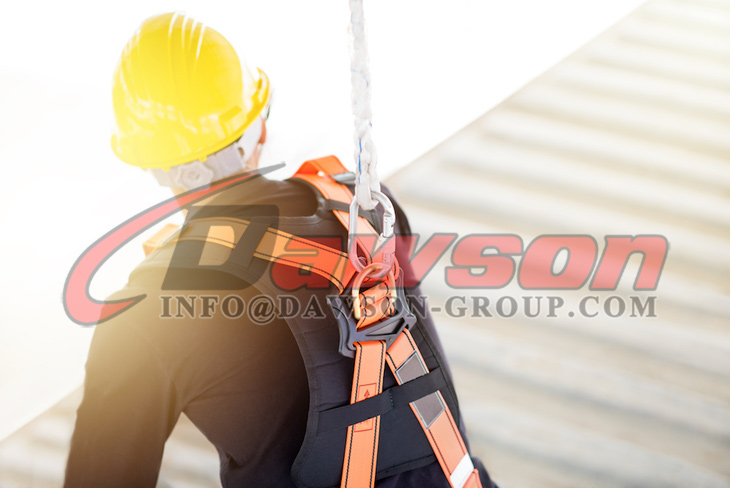 Solicitud de arn&eacute;s de seguridad DAWSON - Dawson Group Ltd. - Fabricante, proveedor de China