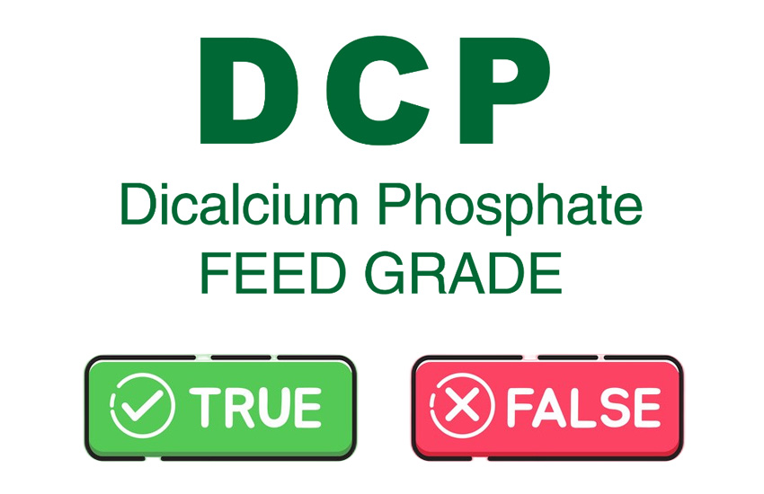 Fosfato de diicalcium
