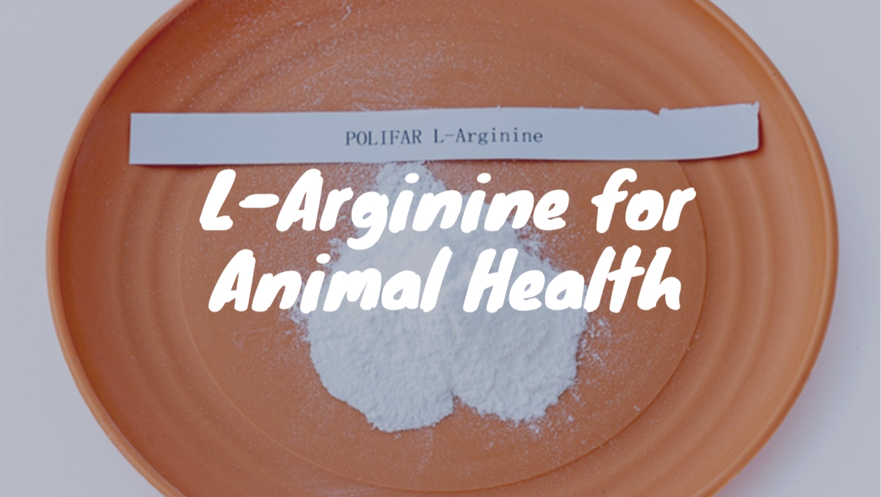 L-Arginina para animales