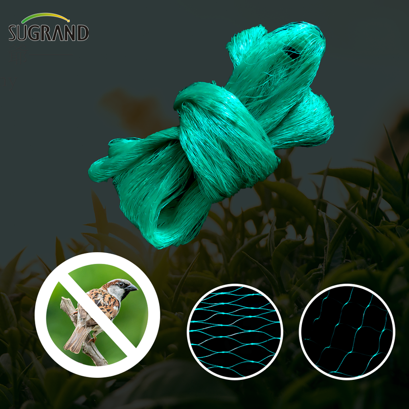 Irish Market Green Extruido Anti Bird Net Protect Plants