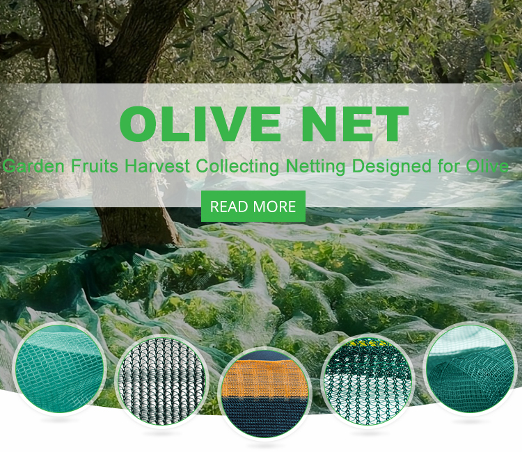 olive net factory