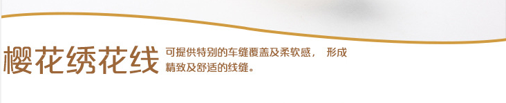MS金銀線