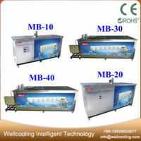 Water Cooling Customize 4000 Kg 6 Tons Cold Room Block Ice Machine