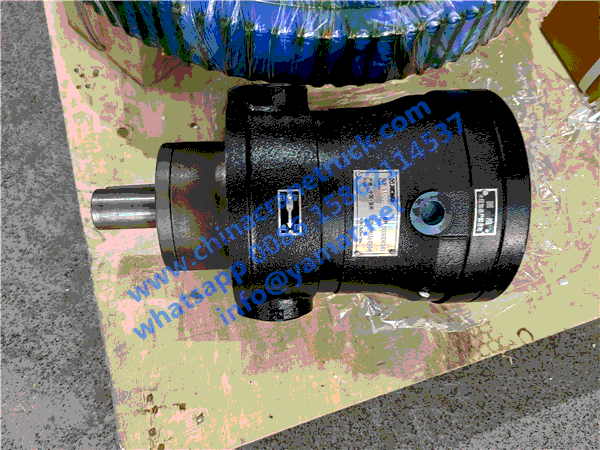 Customer Order Hydraulic Pump for Truck-mounted Crane