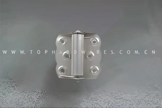 TOP-8032 (Spring hinge for the screen door)