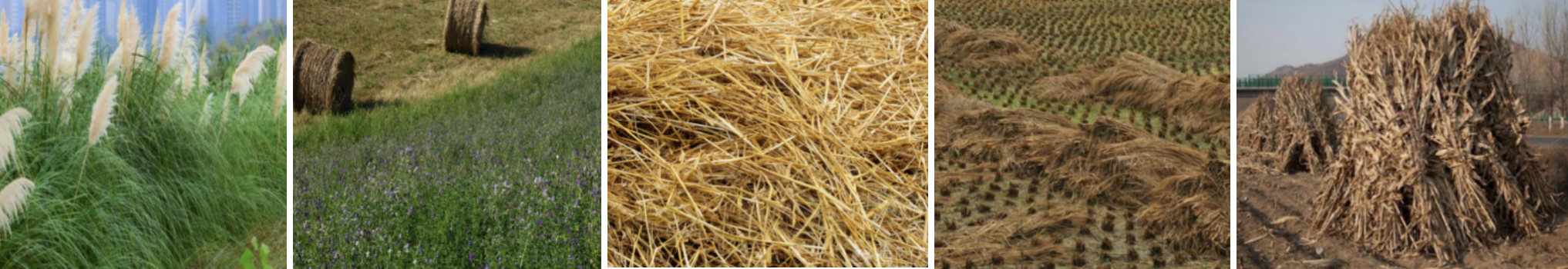 recycling Baling Machine4