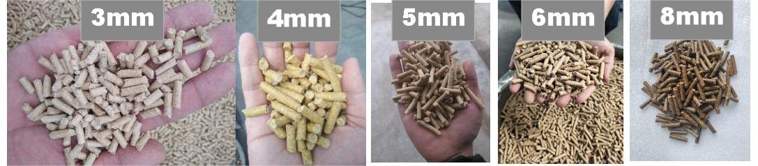 feed pellet machine (3)