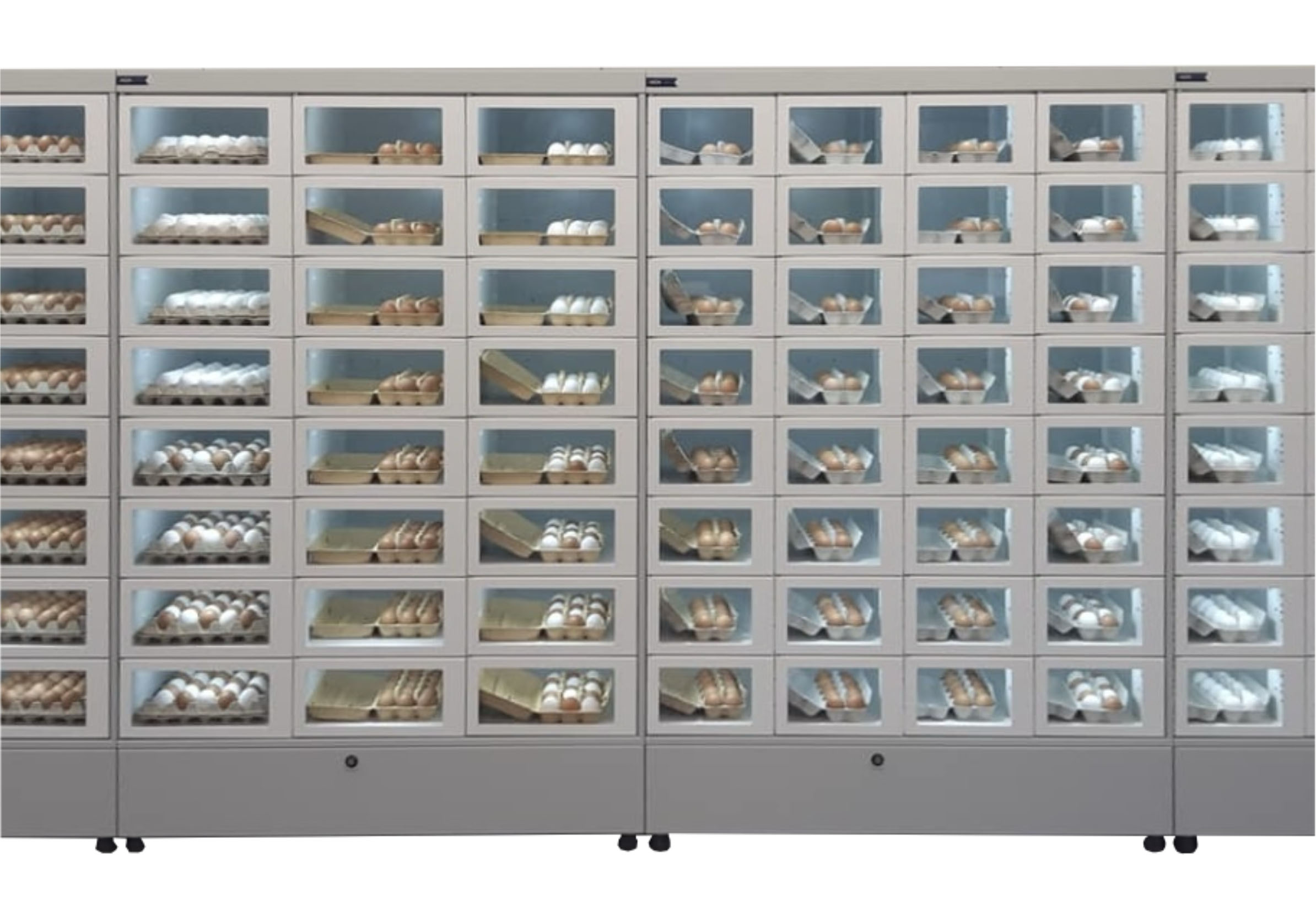 Máquina expendedora de casilleros BV4600 | 46 cajas