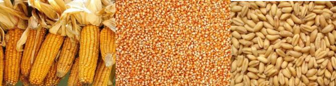 Grain Milling Machine (2)