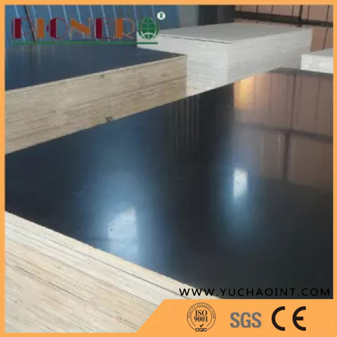 FSC Certificate Film Faced Plywood for Dubai UAE Market