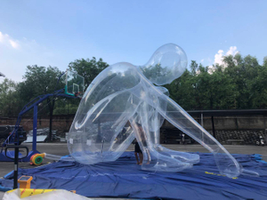 Inflatable Transparent cartoon