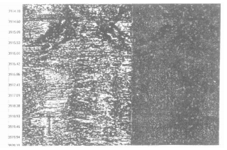 QQ 图片 20240314102107