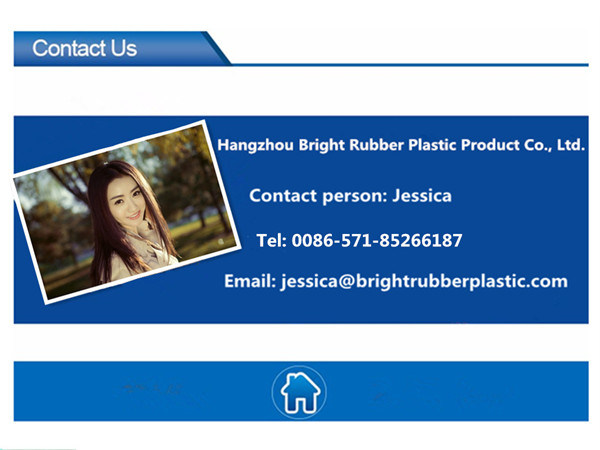 OEM High Quality Rubber Seal for Dodge