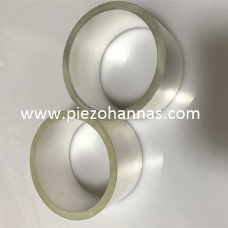 Personalizado PZT Cerâmica Piezo Cerâmica Cerâmica Piezoelétrico Cerâmica Hydrophone Sonda