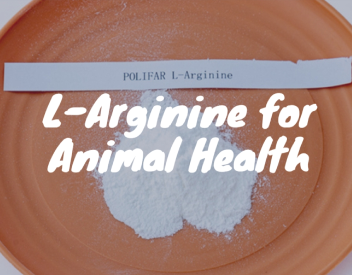 L-Arginina de calidad alimentaria: esencial para la salud animal