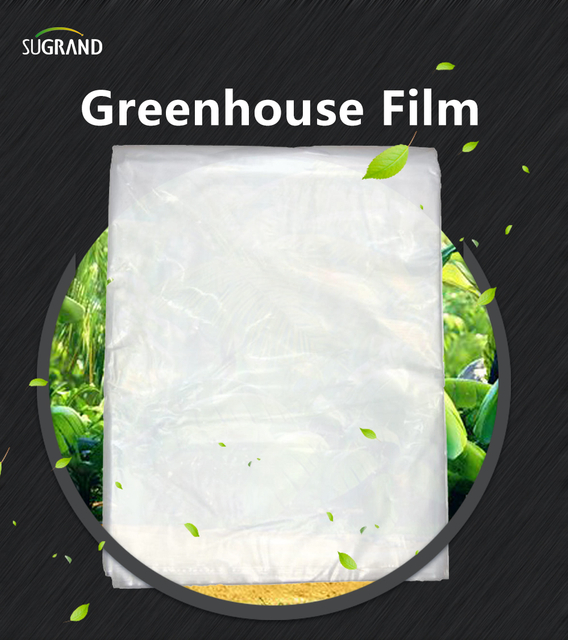 greenhouse film