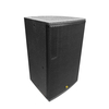 XD12 12 "Moniteur de scène PA High-Power de haut-parleur bidirectionnel