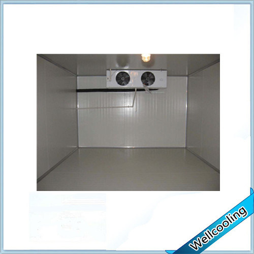 with Ce Certification Blast Freezer Cool Room for Sale