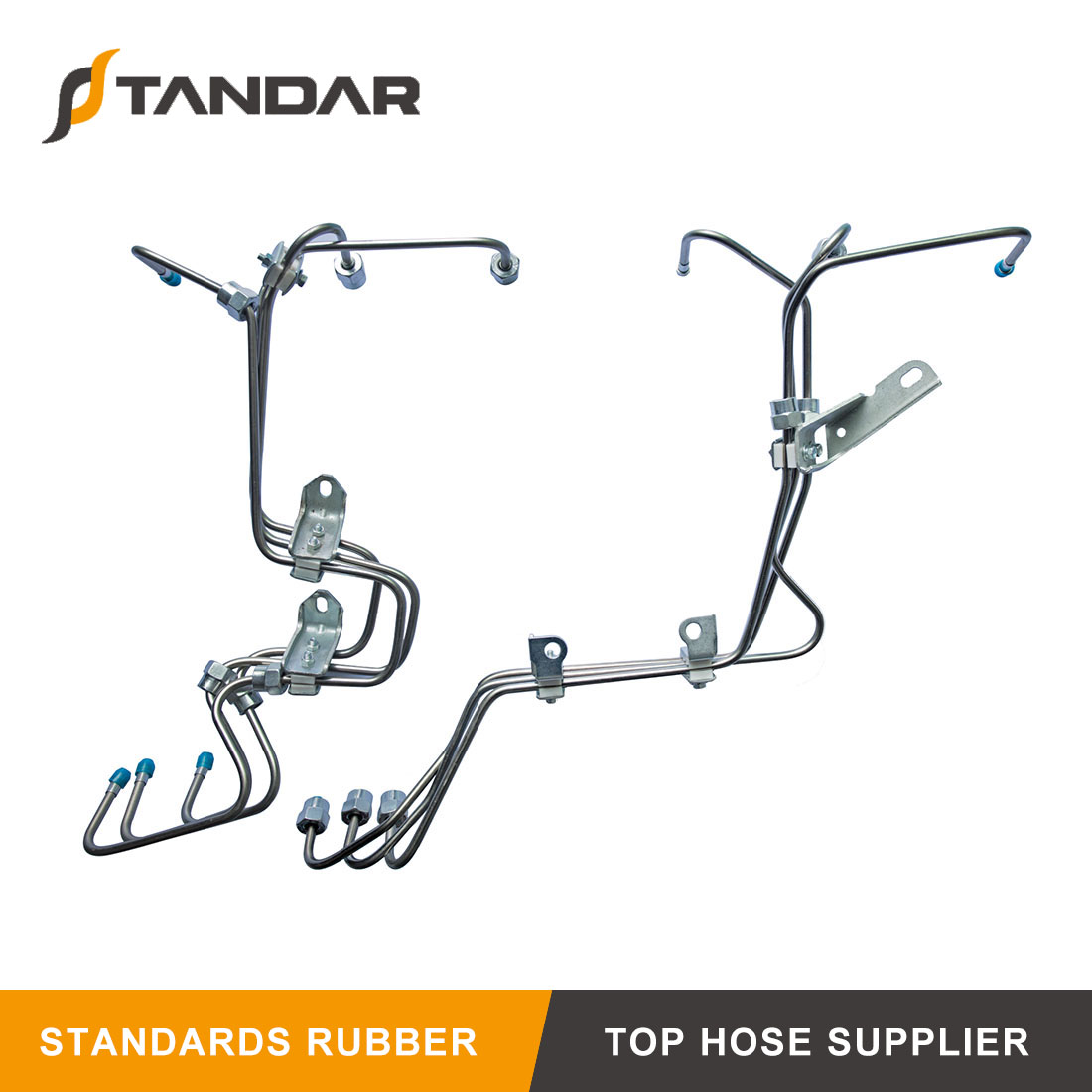 1Q3A7346_ 看图 王 拷贝