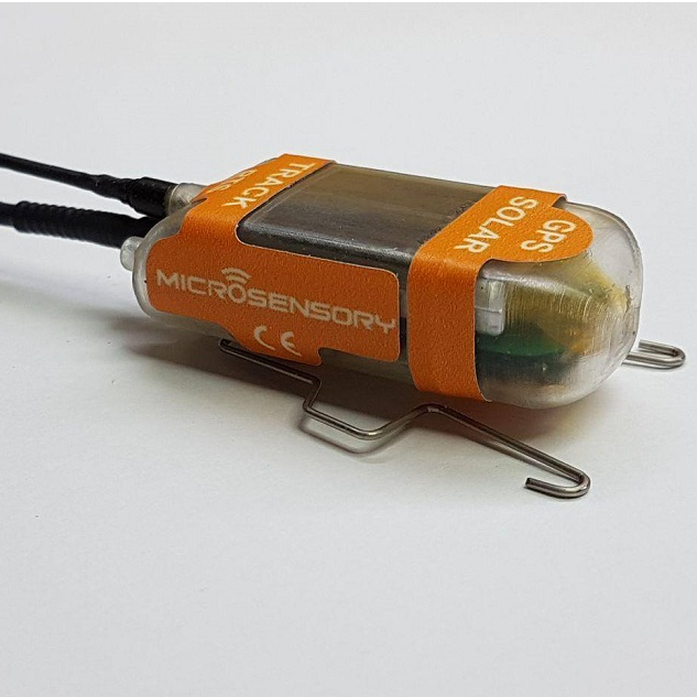 39985620_2056567697721123_699389824485818368_o_633_633