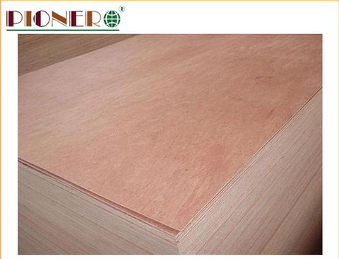 Hot Sale Bb/Cc Grade Bintangor Commercial Plywood 