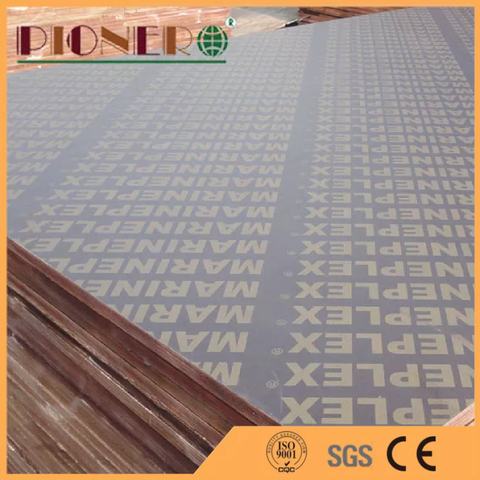 Hot sale good quality melamine glue black film faced plywood