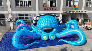 Inflatable Octopus Decoration with Earphones