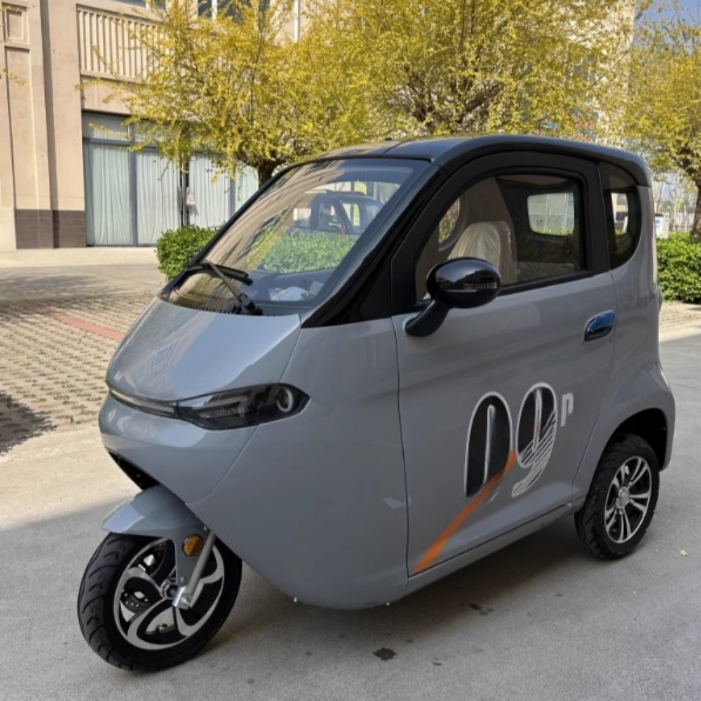 China cerró el triciclo de la cabina eléctrica de edad avanzada con triciclo de cabina eléctrica EEC L2E de 3 ruedas cubierta