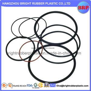 OEM or ODM Various Kinds Rubber O Ring