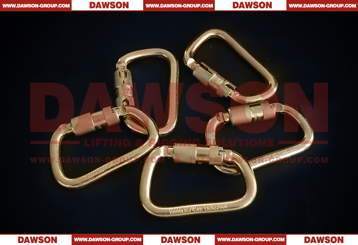 DSJ-1071 10000lbs 45kN حلقة تسلق فولاذية للرياضة الخارجية للتسلق، حلقة تسلق أمان ذاتية الغلق على شكل حرف D - Dawson Group Ltd. - الصين المورد، الشركة المصنعة