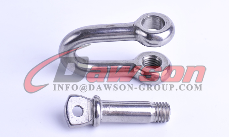 Grillete en forma de D de acero inoxidable, grillete de cadena con pasador de tornillo AISI316 - Dawson Group Ltd. - Fabricante, proveedor y f&aacute;brica de China