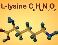 //a0.leadongcdn.com/cloud/lpBqnKmmSRklmrrjonkq/lysine.jpg