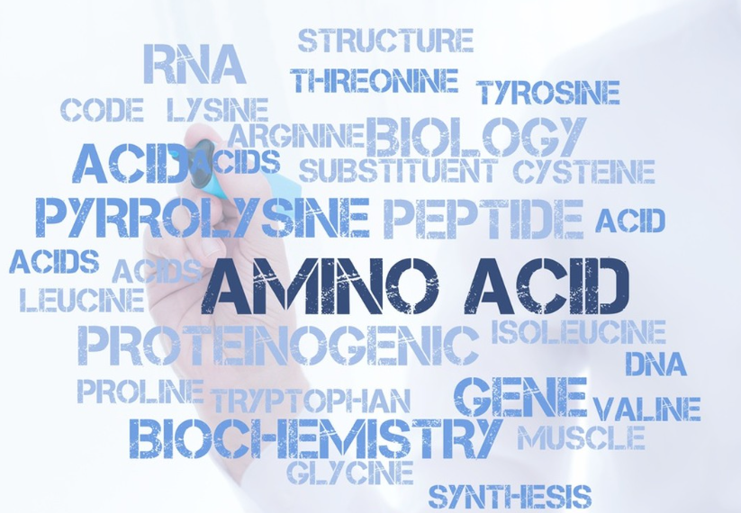 aminoácidos