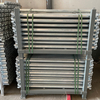 Ringlock Scaffolding Ledger | Система ринглока горизонтальная
