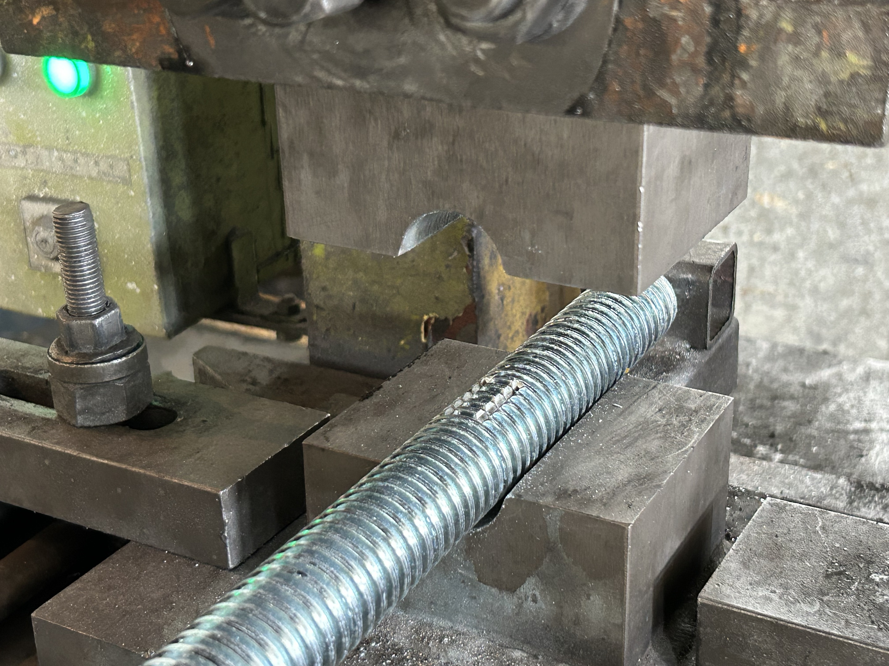 gato base destruir dientes