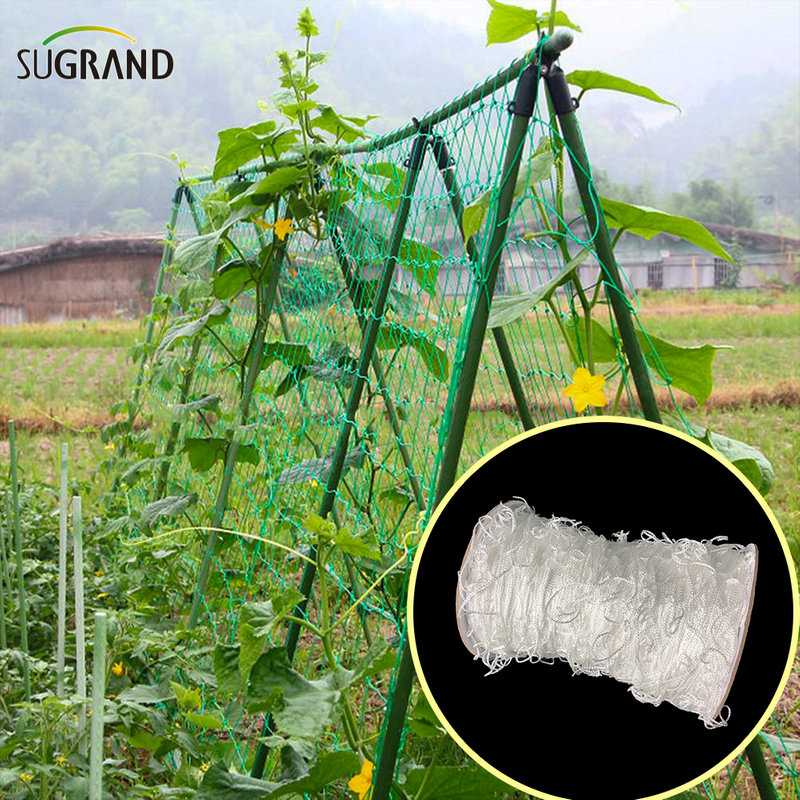 Nuevo HDPE White Plant Climbing Mesh Plant Support Net