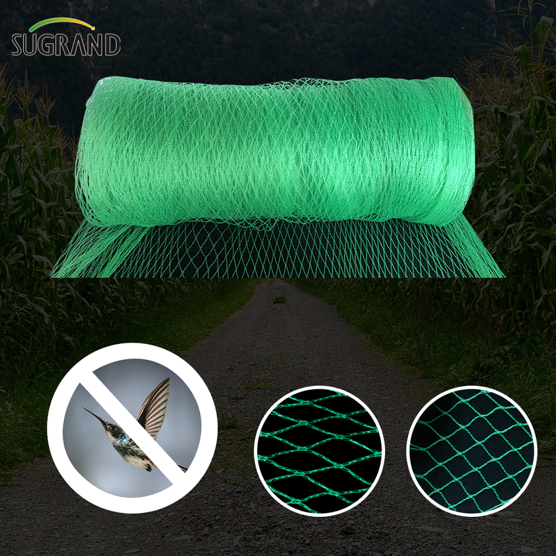 Green Bird Net 4x30m Bird Net para proveedores del mercado de Tailandia