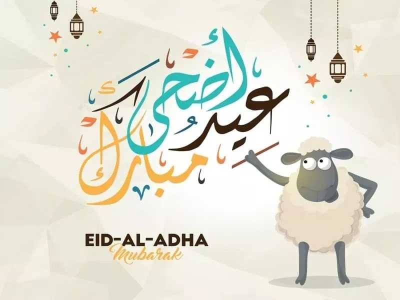 Eid Al-Adha Mubarak to All Global Muslim Friends