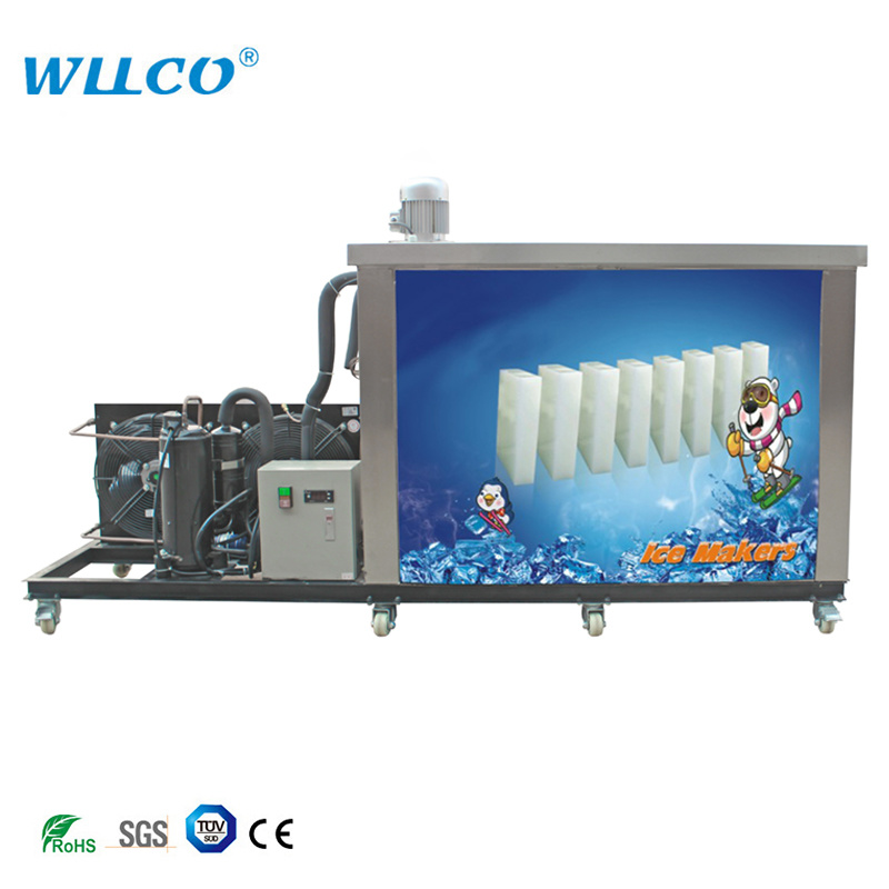 Sea Fish Meet Cold Room Freezer Ice Flake Block Ice Making Machine