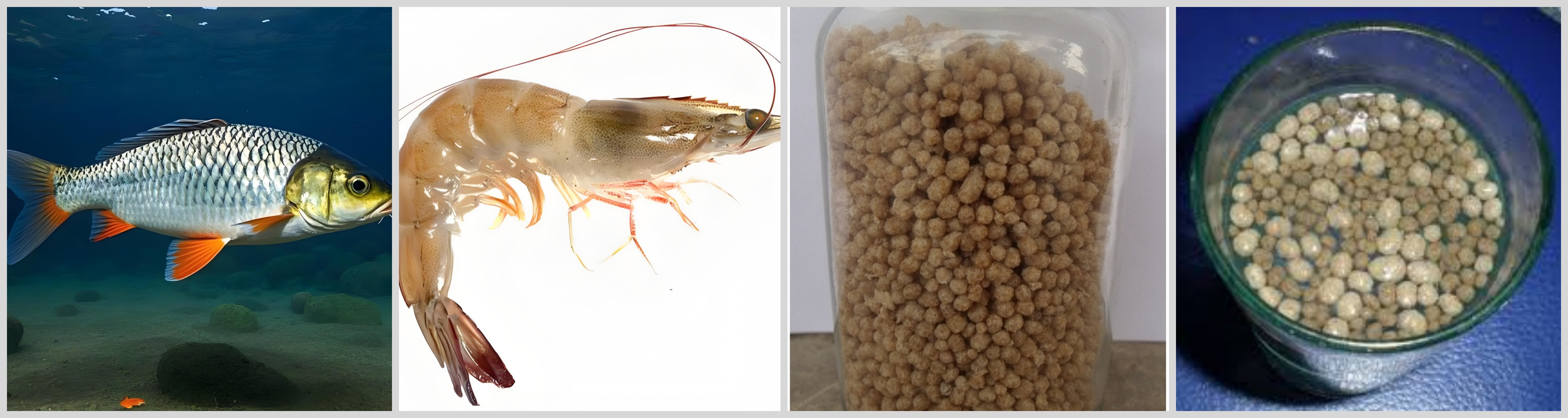 floating fish feed pellet machine2