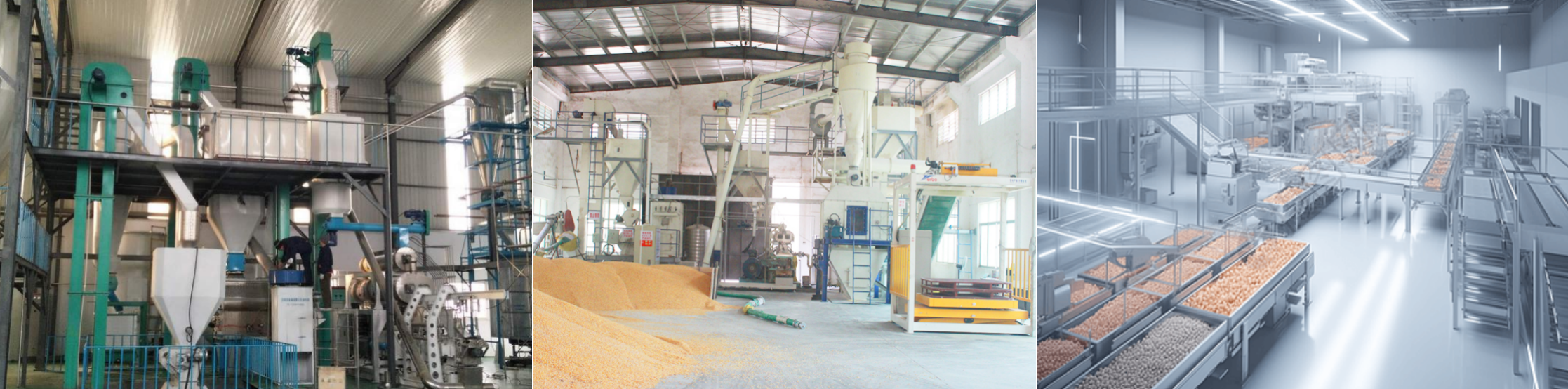 Grain Extruder Machine2