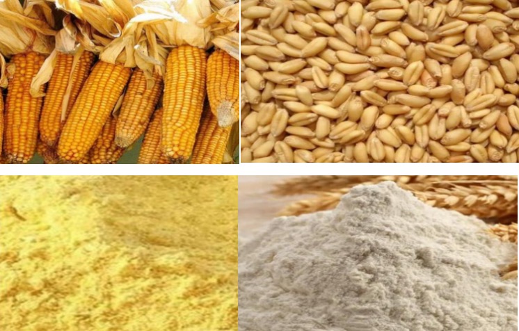 flour milling machine1