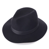 Wide brim wool fedora hat