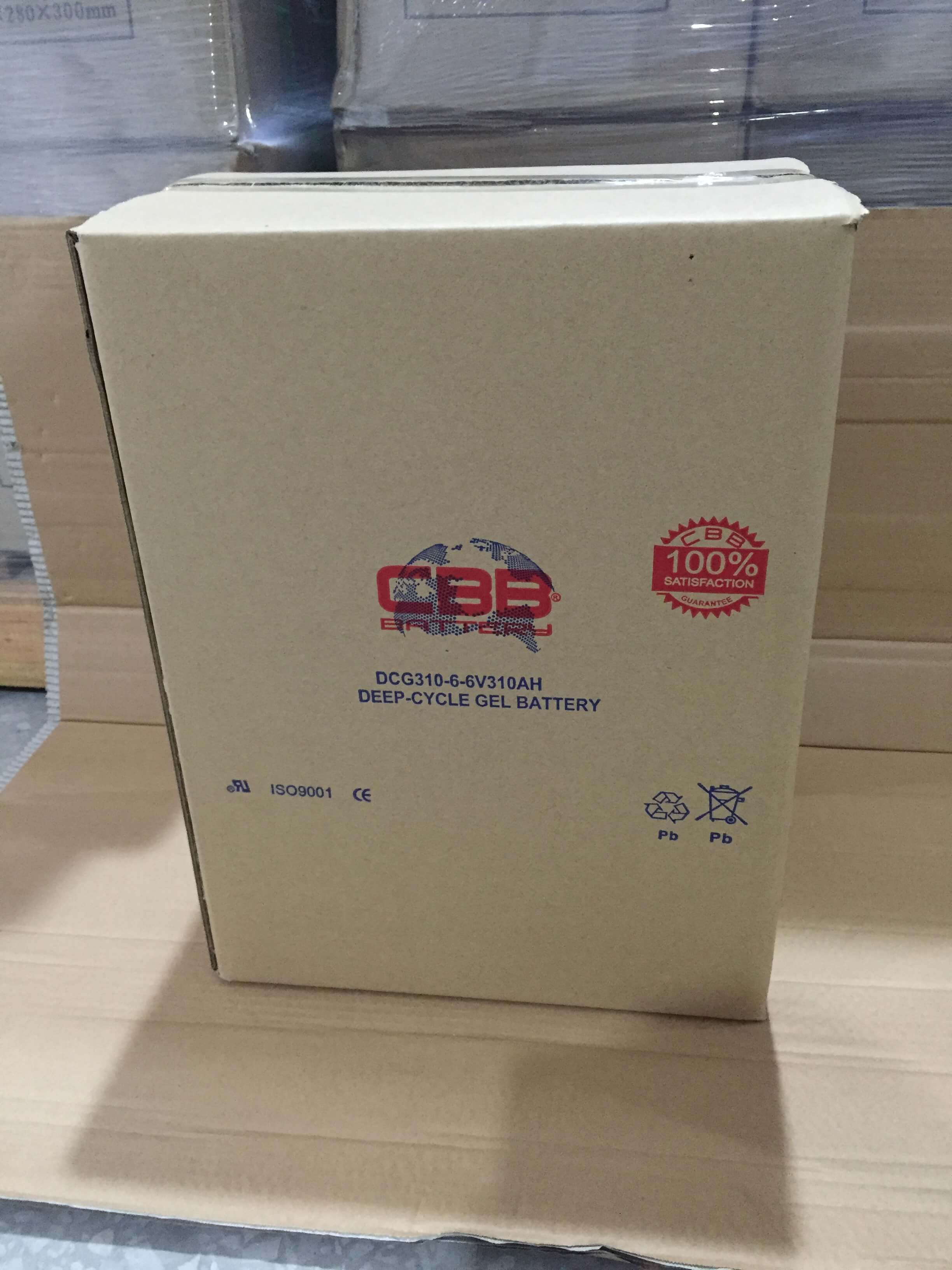 CBB® DCG310-6 Deep Cycle Gel Battery 