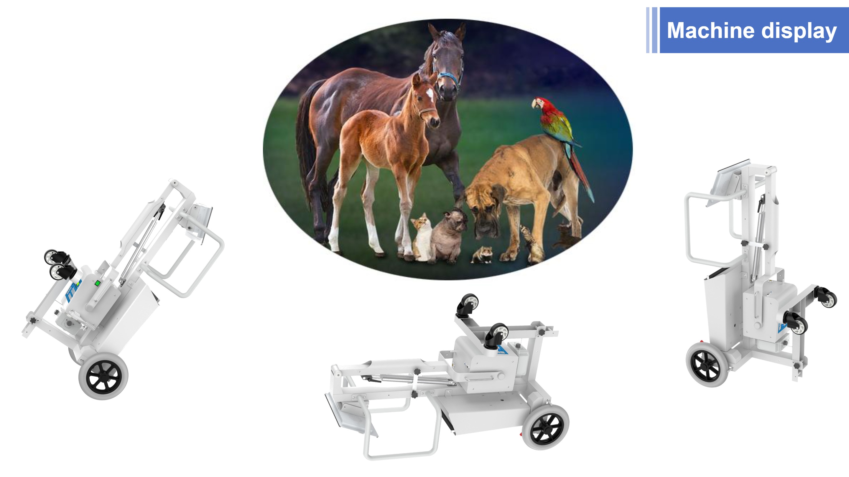 Cheval v&eacute;t&eacute;rinaire &agrave; rayons X portable LXR-118 avec d&eacute;tecteur &agrave; &eacute;cran plat sans fil-4