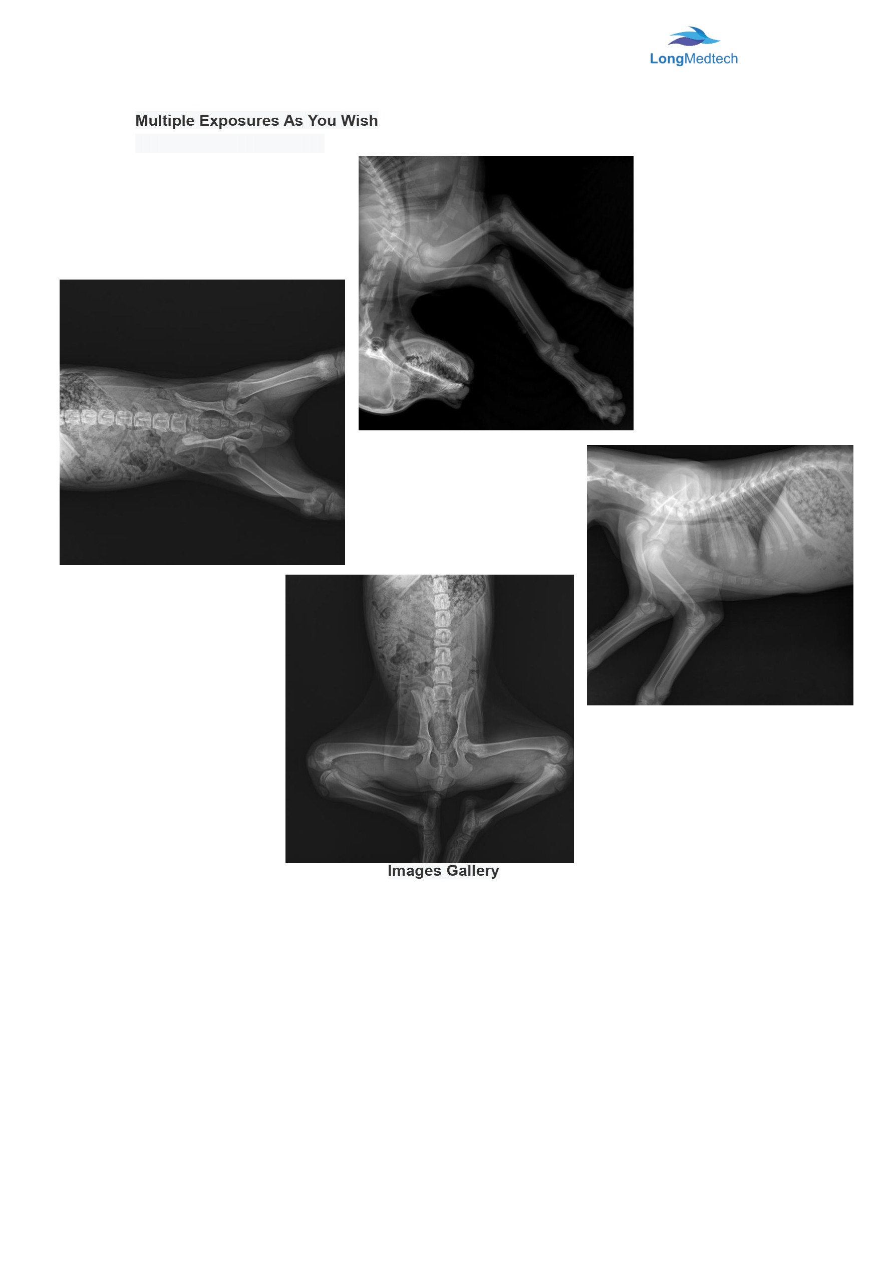 Малын эмч-5-д зориулсан LXR-260 320mA дижитал рентген систем