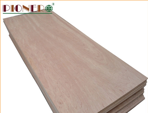 Door Size Plywood with Top Quality