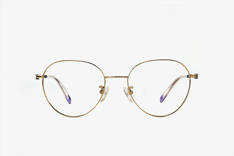 XP2120F leisure metal eyewear frame